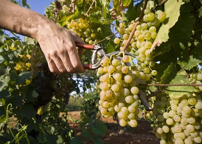 Apartment Guesthouse Medulin *