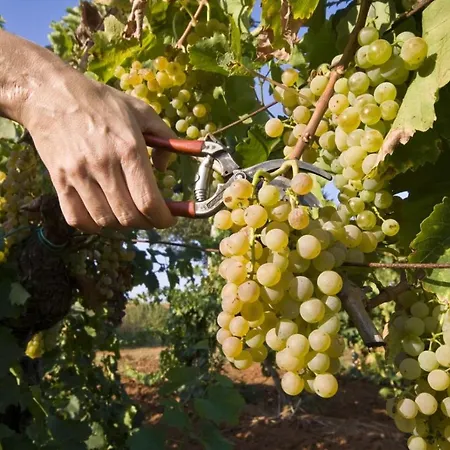 Lejlighed Guesthouse Medulin *